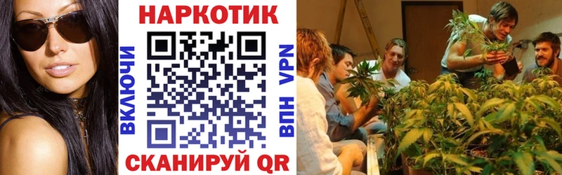 ГАШИШ Карасук
