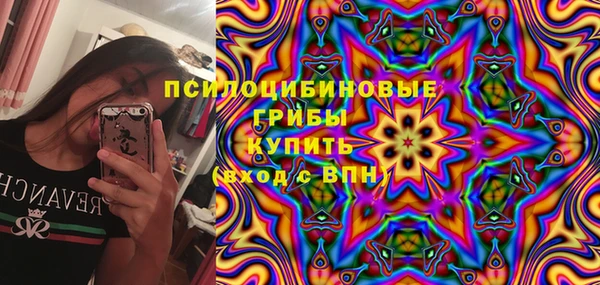 мяу мяу мука Алзамай