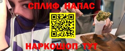 Альфа ПВП Сланцы