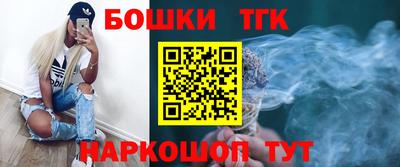 Альфа ПВП Сланцы