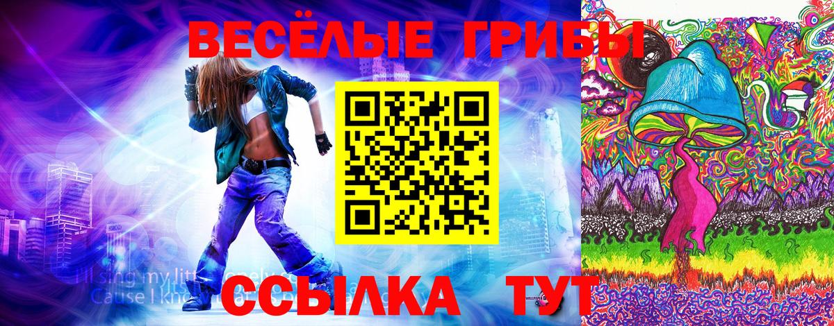 Псилоцибиновые грибы Magic Shrooms Карасук